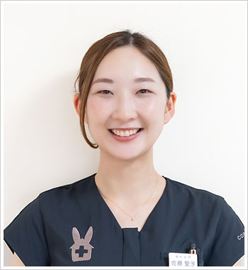 歯科医師 佐藤愛子